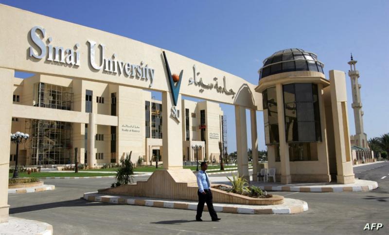 جامعة سيناء