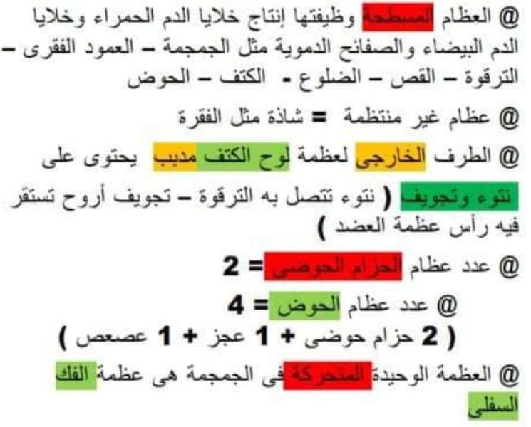 الثانوية العامة 2024.. توقعات هامة لن يخرج عنها امتحان الأحياء