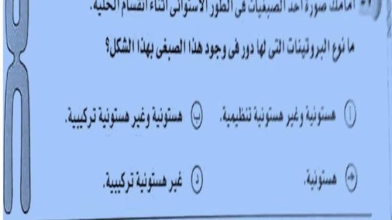 بالصور.. شاومينج تزعم تسريب امتحان الأحياء لطلاب الثانوية العامة 2024